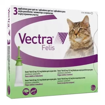 Ceva Vectra Felis spot-on bolha kezelés macskáknak – 3 pipetta