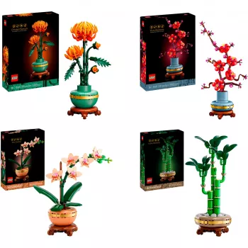 LEGO Botanicals A négy évszak csomag