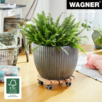 WAGNER Multiroller ERLE soft kerek Ø34cm növénygörgő, tömör égerfa, 100 kg, 3 kormánygörgő, padlókímélő 20026201