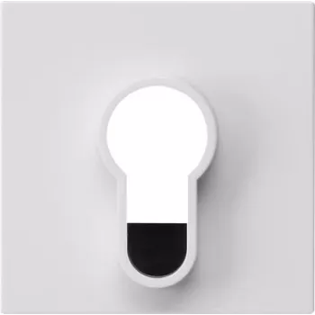 Gira fedél kulcsos kapcsolóhoz, System 55, tisztafehér fényes, 55 x 55 mm 866403