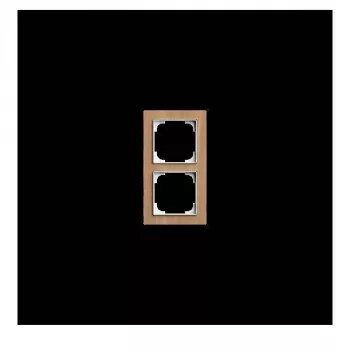BUSCH-JAEGER 1722-4083 2-es tölgyfa keret 2CKA001754A4888