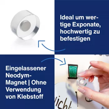 MAGNETOPLAN HOLTZ magnetoplan Design Magnets, 25 mm, Pack of 6 Neodymium Magnets with Transparent Acrylic Grip, Polished (1680025)