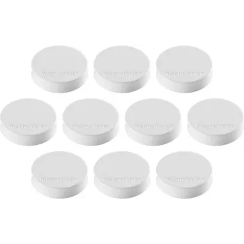 Magnetoplan Ergo-Magnete Medium White Ferrite Magnet, 30 mm, 1 Piece 1664000