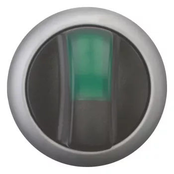 Eaton M22-WLK3-G billenőkapcsoló, fekete/zöld/ezüst, 216837