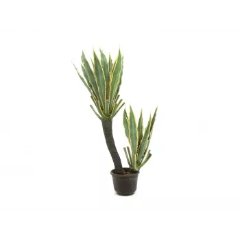 EUROPALMS orchideakaktusz műnövény, 160cm 82809035
