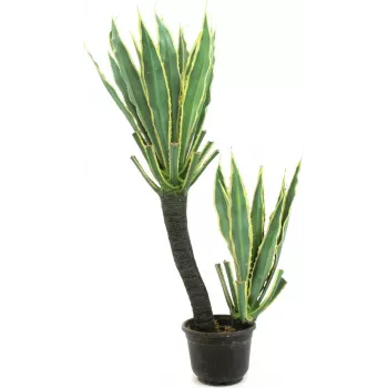EUROPALMS orchideakaktusz műnövény, 160cm 82809035