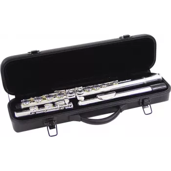 DIMAVERY QP-10 C fuvola, ezüstözött 26500300
