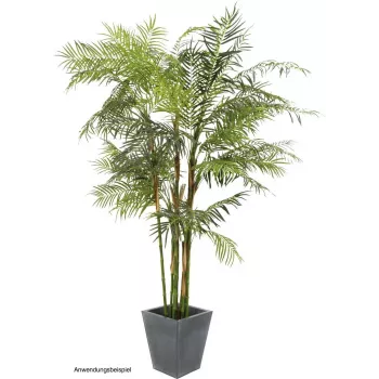 EUROPALMS Cycas pálma műnövény, 280cm 82511360
