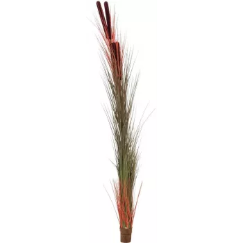 EUROPALMS műnádvirág buzogánnyal, világosbarna, 152cm 82505856