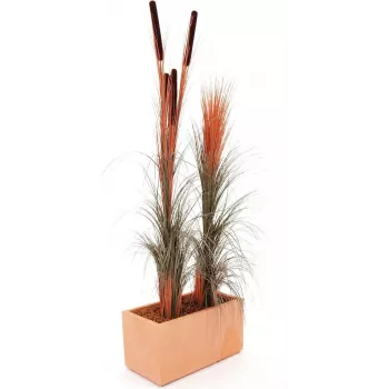 EUROPALMS műnádvirág buzogánnyal, világosbarna, 152cm 82505856