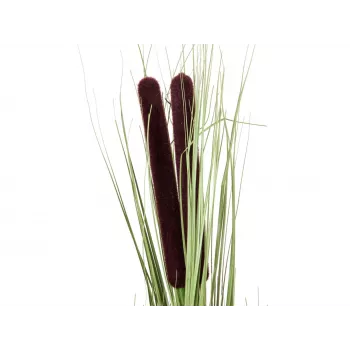 EUROPALMS Artificial Reed Grass with Cobs, Light Green, 152cm 82505855