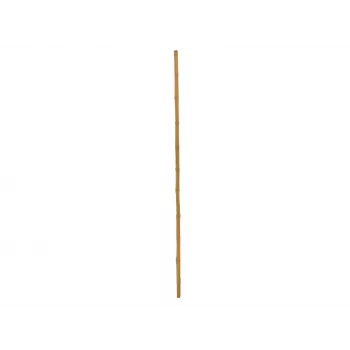 EUROPALMS bambuszrúd, Ø 3 cm, hossz 200 cm 83313200