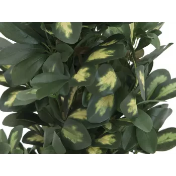 EUROPALMS Schefflera műnövény, 120cm, zöld 82600157