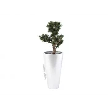 EUROPALMS Leichtsin Elegance-69 Silver Glossy Decorative Figure 83011856