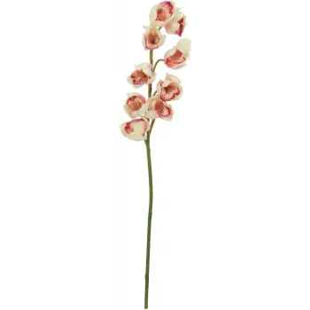 EUROPALMS mű Cymbidium ág, krém-rózsaszín, 90cm 82530311