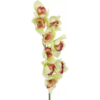 EUROPALMS mű Cymbidium orchideaág, zöld, 90cm 82530313