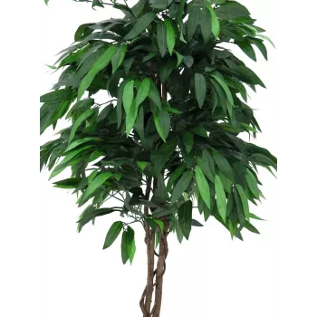 EUROPALMS mű mangó dzsungelfa, 180 cm 82506726