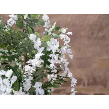 EUROPALMS Artificial Golden Chain Tree, White Flowers, 180cm 82507106