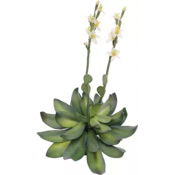 EUROPALMS Stone Rose (EVA) műnövény, sárga, 32cm 82530573
