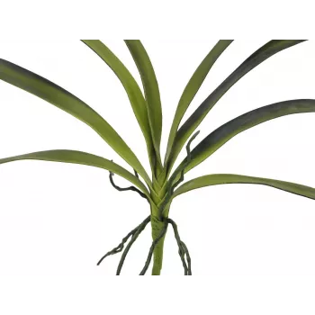 EUROPALMS mű orchidealevél (EVA), zöld, 45cm 82530574