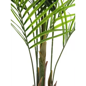 EUROPALMS nagy levelű Areca műnövény, 165cm 82509441