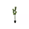 EUROPALMS mű papirusz növény, 150cm, zöld, fekete cserépben 82600223
