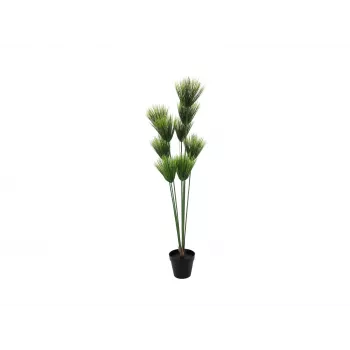 EUROPALMS mű papirusz növény, 150cm, zöld, fekete cserépben 82600223