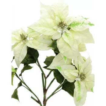 EUROPALMS mű karácsonyi csillag bokor, krém, 60 cm 83500433