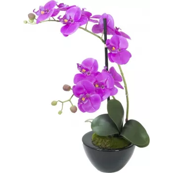 EUROPALMS mű orchidea kompozíció 4, fehér Phalaenopsis kerámia cserépben, 60 cm 82530349