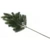 EUROPALMS fenyőág, PE, 65 cm 83500420