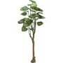 EUROPALMS Pothos fa műnövény 175 cm 82600163