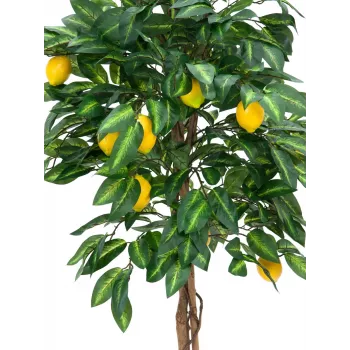 EUROPALMS Artificial Lemon Tree, 180cm 82507816