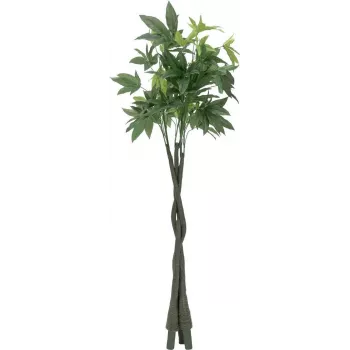 EUROPALMS mű Pachira pénzfa, 160 cm 82600165
