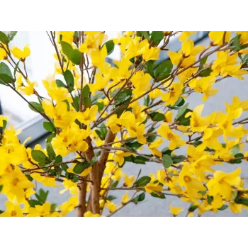 EUROPALMS mű forsythiafa 3 törzzsel, sárga, 150 cm 82507102
