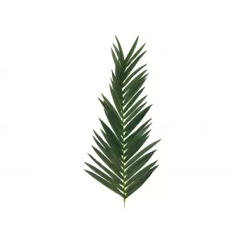 EUROPALMS mű kókuszpálma-levél, 150 cm 82509845