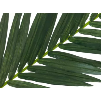 EUROPALMS mű kókuszpálma-levél, 150 cm 82509845