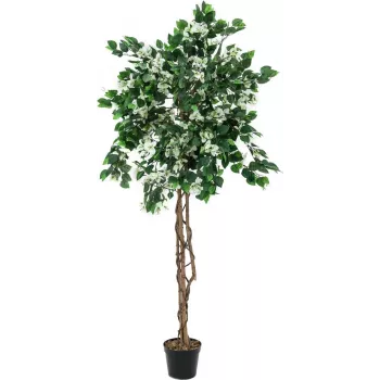 EUROPALMS bougainvillea műnövény, fehér, 150 cm 82507085