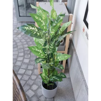 EUROPALMS Dieffenbachia műnövény 120 cm 82508306