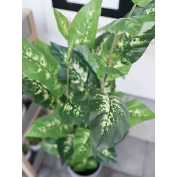 EUROPALMS Dieffenbachia műnövény 120 cm 82508306