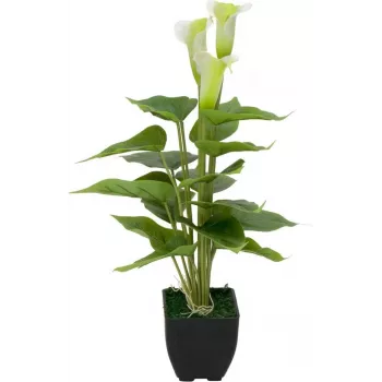 EUROPALMS Calla mini mű kála liliom növény, fehér, 43 cm 82540347