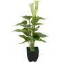EUROPALMS Calla mini mű kála liliom növény, fehér, 43 cm 82540347