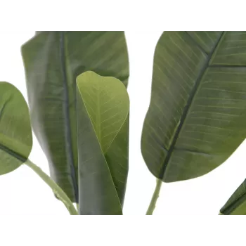 EUROPALMS mű banánnövény, 100 cm, zöld levelek, fekete cserép 82509503