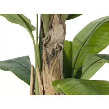 EUROPALMS mű banánfa, 170cm, zöld levelek, fekete cserép 82509539