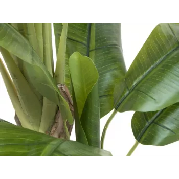 EUROPALMS mű banánfa, 170cm, zöld levelek, fekete cserép 82509539