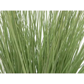 EUROPALMS mű díszfű, 65 cm, zöld, fekete cserép 82600145