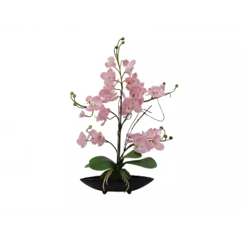 EUROPALMS orchidea kompozíció (EVA), mű, lila (82530339)