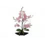 EUROPALMS orchidea kompozíció (EVA), mű, lila (82530339)