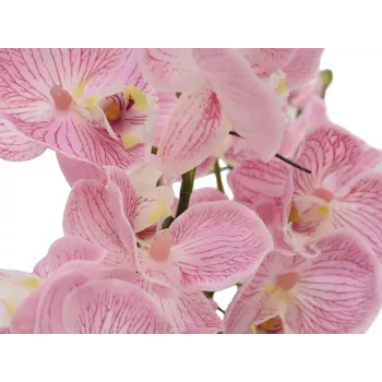 EUROPALMS orchidea kompozíció (EVA), mű, lila (82530339)
