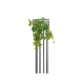 EUROPALMS prémium mű szőlőinda bokor, 50cm 82502513