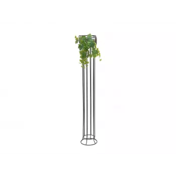 EUROPALMS prémium mű szőlőinda bokor, 50cm 82502513